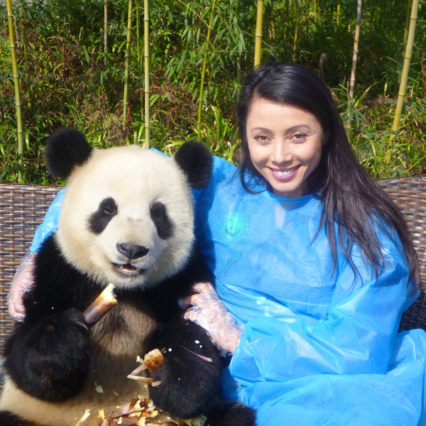 Panda Volunteering